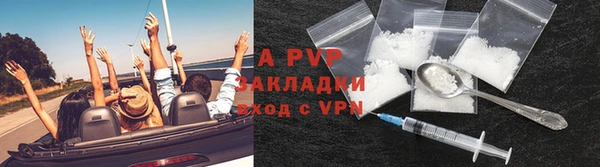 a pvp Новозыбков